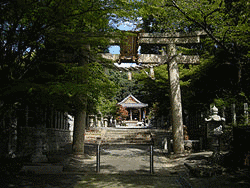 磐手杜神社の画像