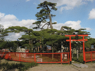 大津神社の画像