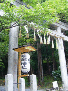 椎尾神社の画像