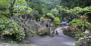 玉置神社の画像