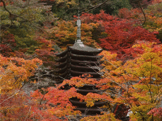 談山神社の画像