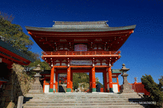 鵜戸神宮の画像