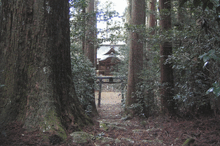 杉原神社の画像