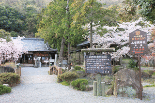 山梨岡神社の画像