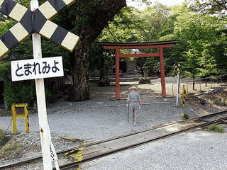 石引神社の画像