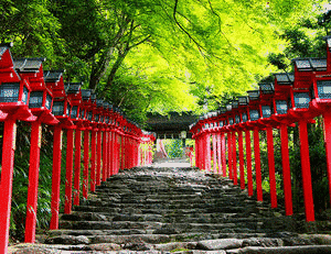 貴船神社の画像