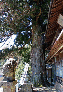 佐久太神社の画像