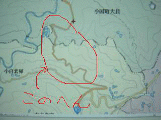 大白倉バイパスの画像