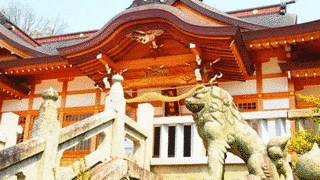 鶴崎神社の画像