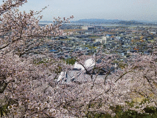 箆取神社の画像