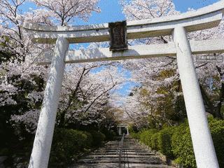宗忠神社の画像