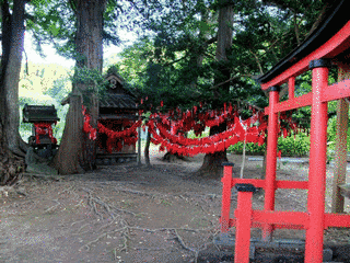 卯子酉様の画像