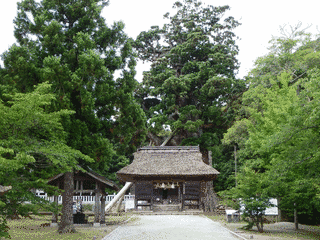 玉若酢命神社の画像