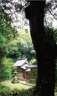 那売佐神社の画像