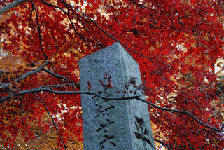 天別豊姫神社の画像