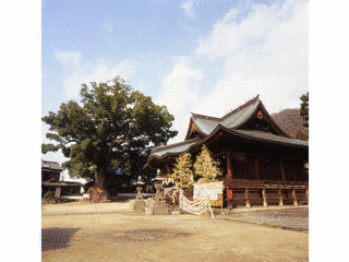 糸碕神社の画像