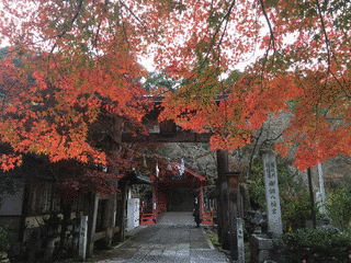 御調八幡宮の画像