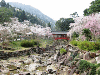 和知八幡神社の画像
