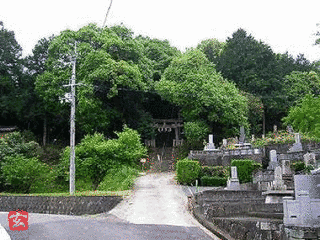 伊加加志神社の画像