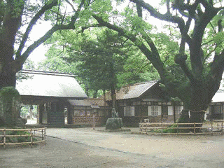 伊曽乃神社の画像