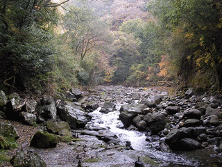 河原神社の画像
