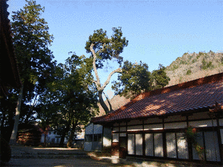 川合神社の画像