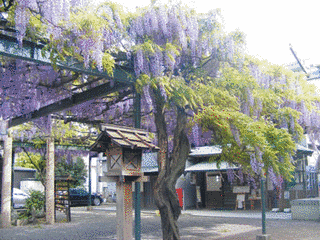 國領神社の画像