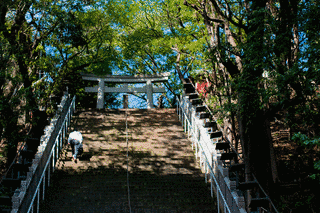 愛宕神社の画像