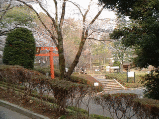塙田八幡宮の画像