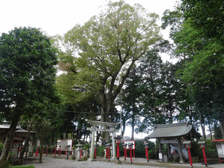 薬師寺八幡宮の画像