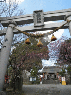 疋野神社の画像