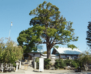 伊勢原大神宮の画像
