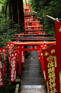 佐助稲荷神社の画像