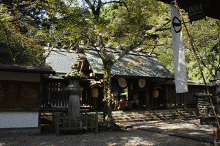 金崎宮の画像