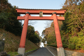 篠崎八幡神社の画像