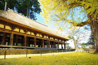 新宮熊野神社の画像