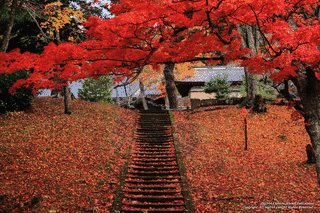 土津神社の画像