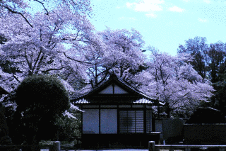 群馬縣護國神社の画像
