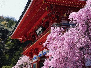 八幡神社の画像