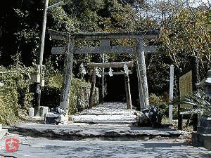 厳原八幡宮神社の画像