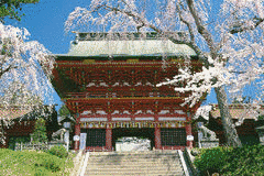 塩釜神社の画像