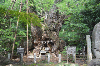 葛見神社の画像