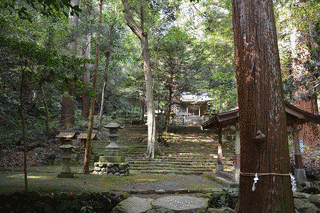 八幡宮来宮神社の画像