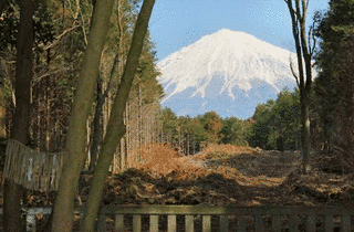 山宮浅間神社の画像