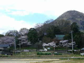 鼓岡神社の画像