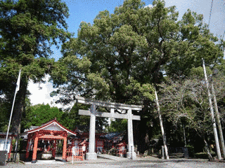 安楽山宮神社の画像