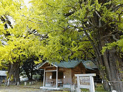 宮浦宮の画像