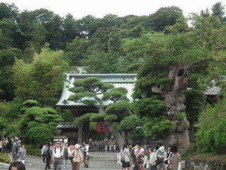 長谷寺の画像