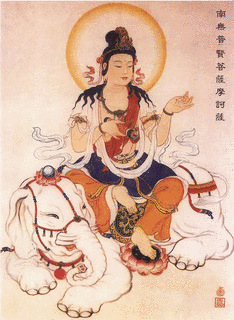 普賢菩薩の画像