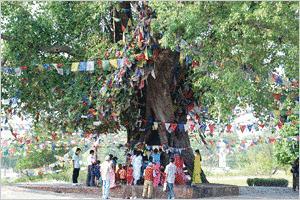 1997年登録の世界遺産の画像